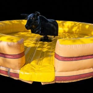 Mechanical Bull Rental